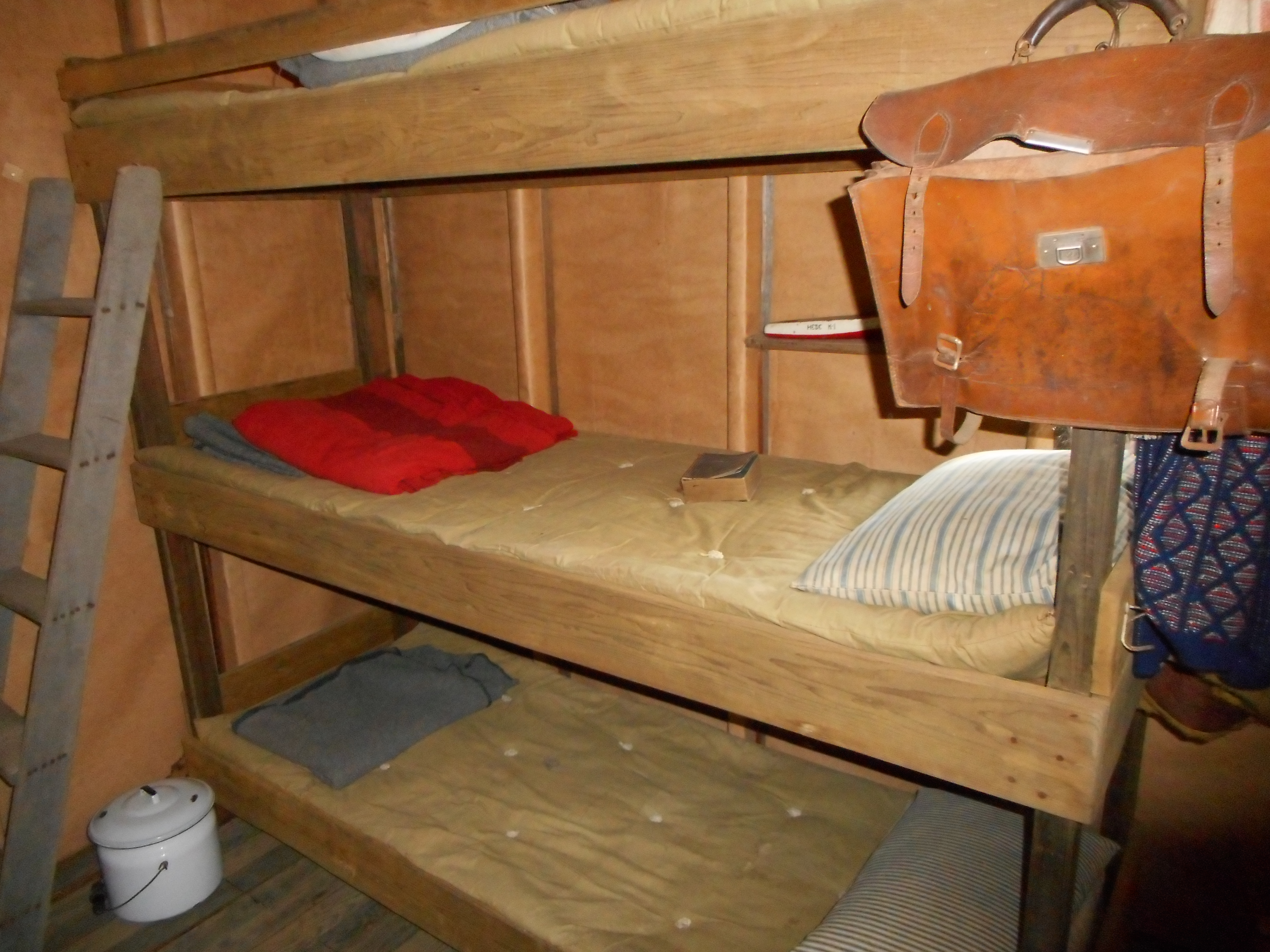 Shack bunks